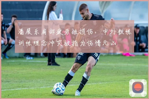 潘展乐肩部疲劳性损伤，中外教练训练理念冲突被指为伤情元凶